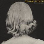 Yellow Ostrich: The Mistress